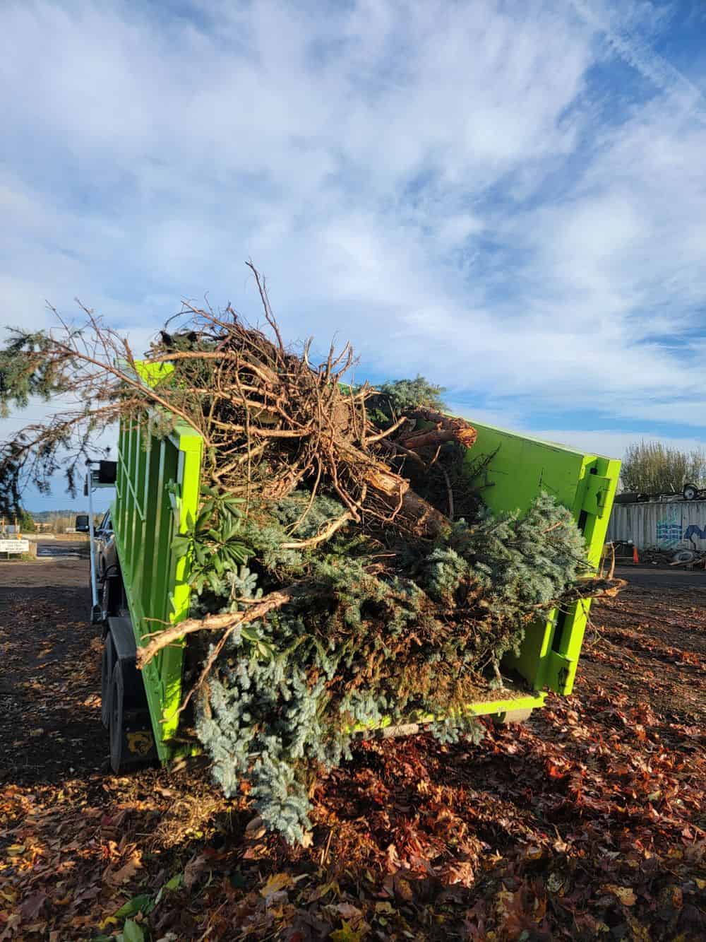 Yard Debris Cleanup image